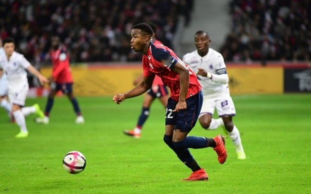 手臂肌肉线 手臂肌肉线