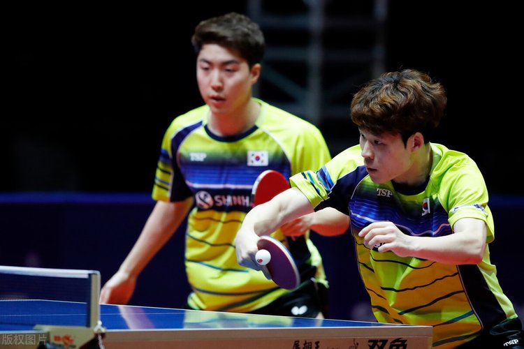 们快速洞察 们快速洞察